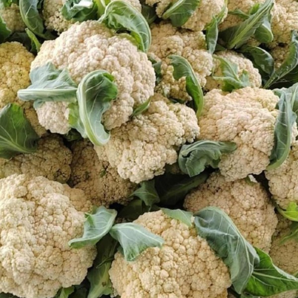 精品花菜，基地直发，供应各大市场，商超，电商